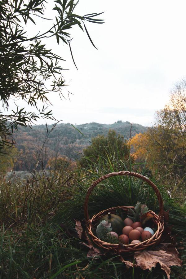 La Tenuta - Resort Agricolo Casaprota ภายนอก รูปภาพ