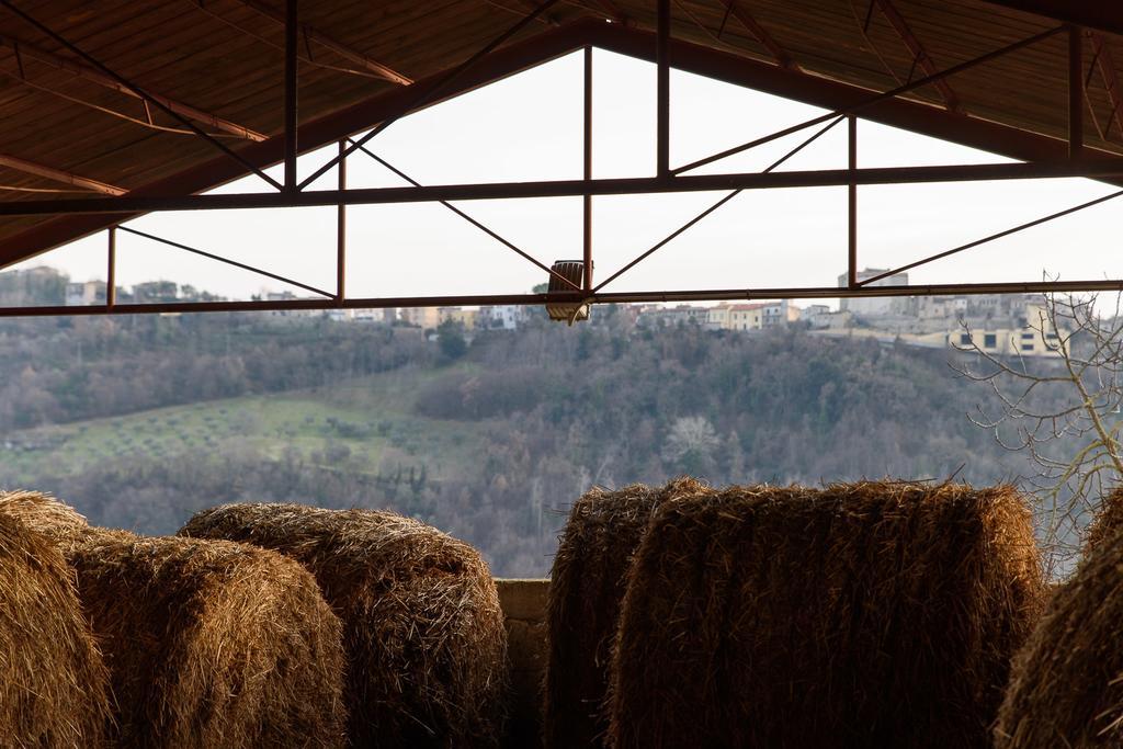 La Tenuta - Resort Agricolo Casaprota ภายนอก รูปภาพ