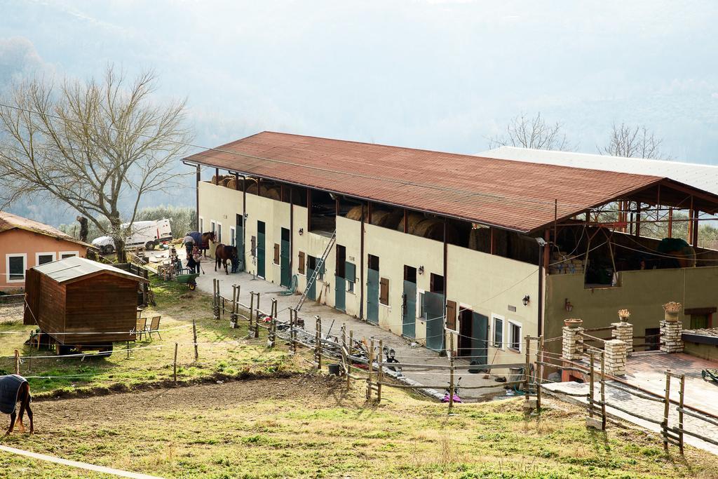 La Tenuta - Resort Agricolo Casaprota ภายนอก รูปภาพ