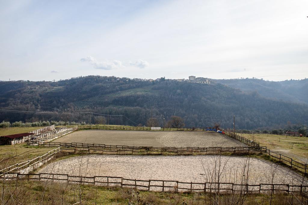 La Tenuta - Resort Agricolo Casaprota ภายนอก รูปภาพ